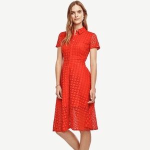 Gorgeous color, pretty Ann Taylor dress.